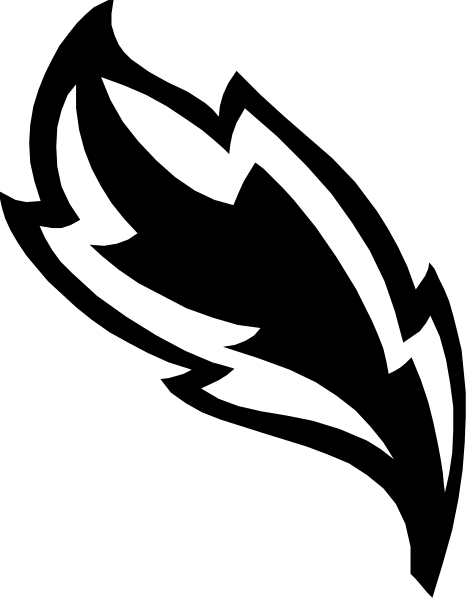 The image shows a black feather with white detailing on it against an indistinct background.