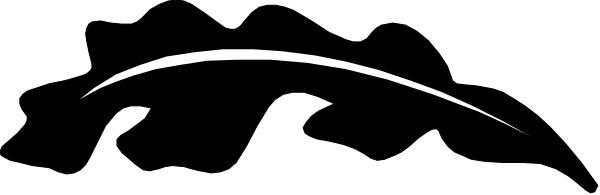 The image shows a black car with white stripes on its hood driving down an empty road at nighttime under clear skies.