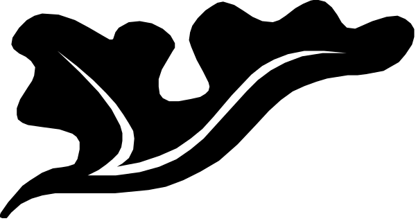 The black and white logo of a bird with wings spread out on its back is shown against a gray background.