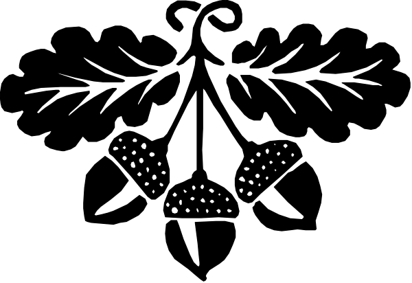 The image shows a black cat with white spots on its face against a dark background.