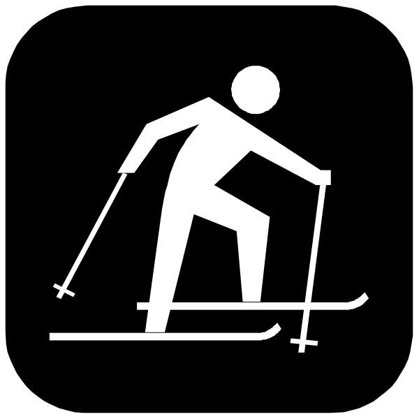 The black and white icon depicts a person skiing downhill with two poles while wearing skis on their feet.