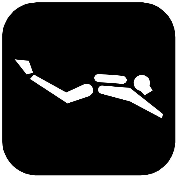 The black and white logo of a person surfing on top of an airplane wing with their arms outstretched for balance.
