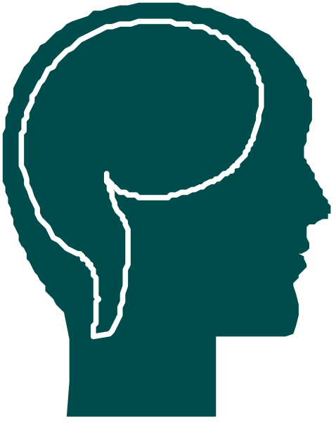 The image shows a stylized human head profile with an outline of brain activity above it against a white background.