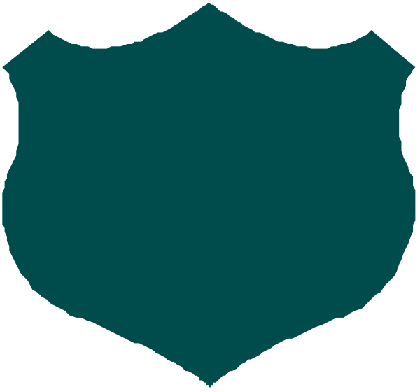 The image shows a stylized graphic of two overlapping shields with an emblem resembling a key between them in front view; one shield is blue-green while the other has no color detail, and there's text that reads "SECRET" on both sides where they meet.