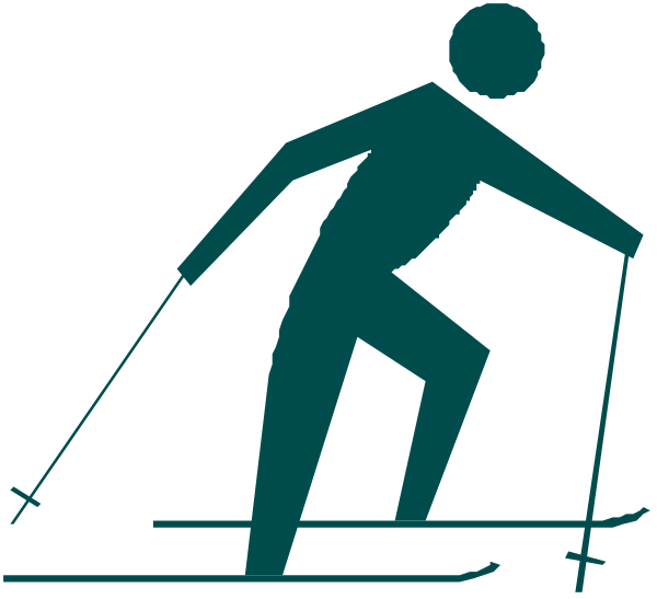 The image shows a stylized graphic of an individual skiing with two skis on their feet against a white background; there is no text present in this clip-art illustration.
