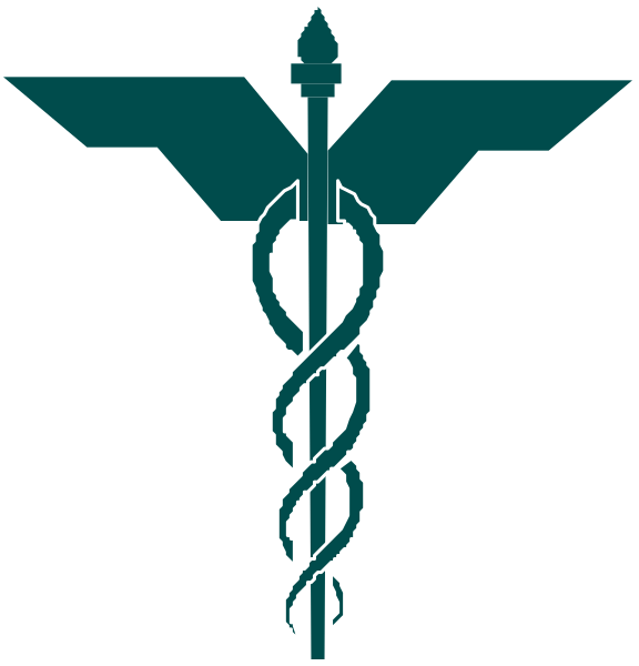 The image shows a logo with two variations of an emblem that includes medical crosses intertwined by snakes; in one version there is no text accompanying it while in another "HEALTH" appears above and below each snake, suggesting healthcare services or organization identity related to medicine and health care.