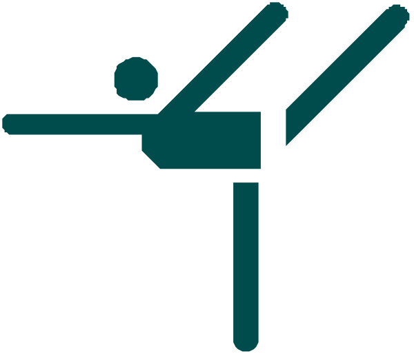 The image shows a cartoon of an athlete performing gymnastics on bars with text above it reading "GYMNASTICS."