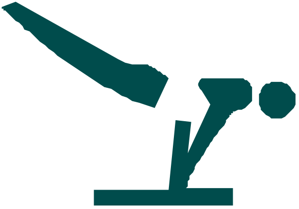 The image shows a stylized graphic of an athlete performing gymnastics on bars with text that reads "GYMNASTICS" in bold letters above them.