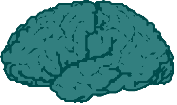 The image shows a graphic of two brain hemispheres with blue coloring on them against a dark background.
