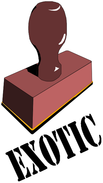 The image shows a red brick with an object on top of it that resembles a bottle opener.