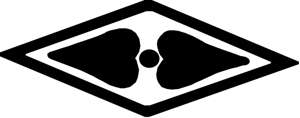 The image shows a black and white logo with an abstract design that includes geometric shapes resembling stylized letters "S" and "T".