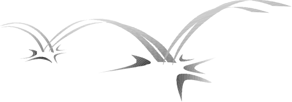 The image shows a black silhouette of two birds flying against an overcast sky with raindrops falling from them in white lines on top of each other.