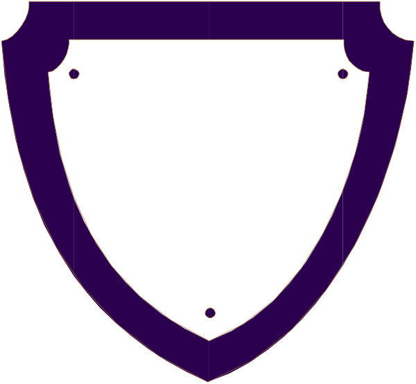 The image shows a shield with two crossed swords on top of it against a purple background.