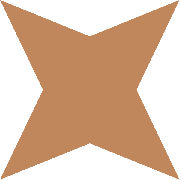 The image shows a stylized orange star with an open center against a dark background.