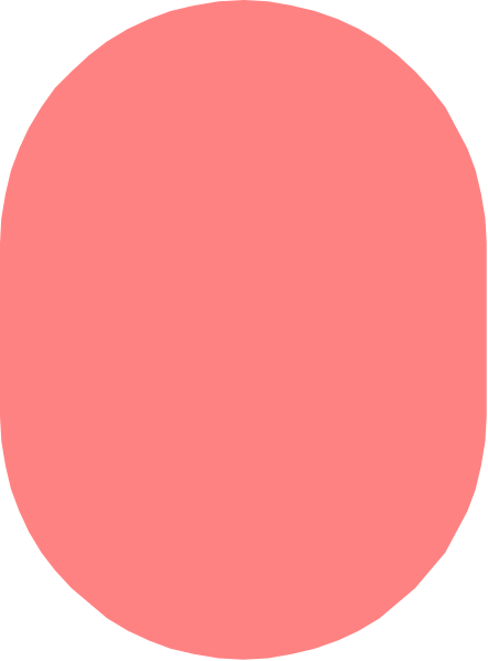 The image shows a red circle with no other discernible content within it against an otherwise gray background.