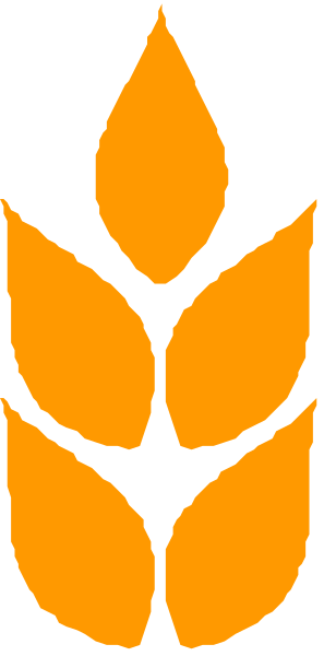 The image shows a stylized graphic of an ear of wheat with flames on either side against a neutral background.
