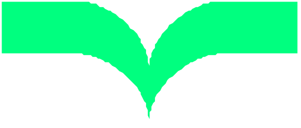 The image shows a stylized graphic of an abstract design resembling wings with green on top and blue below it against a gray background.