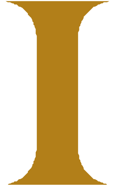 The letter "i" with a stylized design on it.