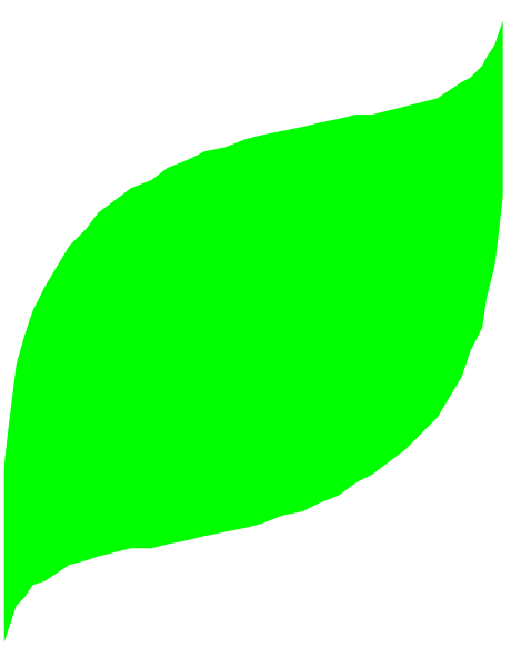 The image shows a green leaf with wavy edges against a black background on top of another layer that appears to be grayish-blue in color.