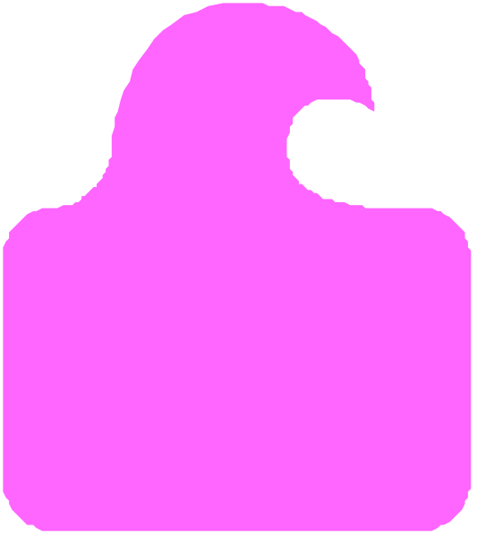 The image shows a pink silhouette of an animal that resembles a bird with its wings spread out against a black background.