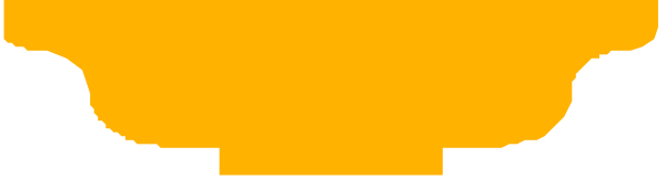 The image shows a yellow line with two black lines on either side of it against a gray background.