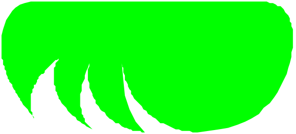 The image shows a green abstract design with multiple shapes that resemble eyes on what appears to be an animal's head against a dark background.