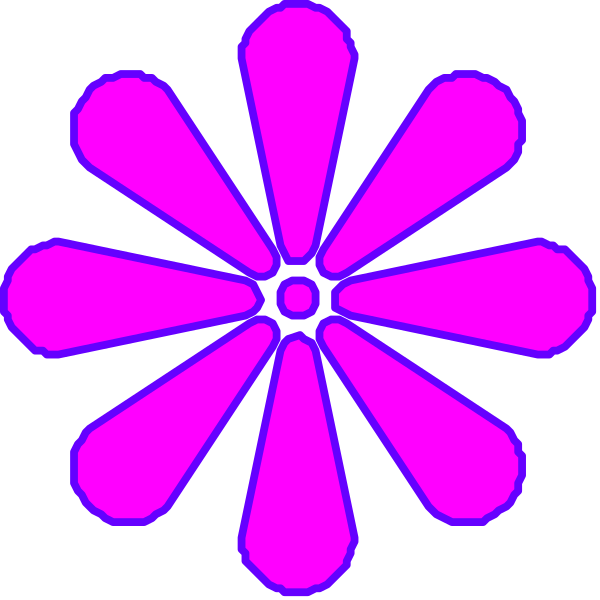 The image shows a purple flower with six petals against a black background.