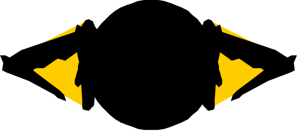 The image shows a black cat with yellow eyes sitting on top of an orange cone against a gray background.