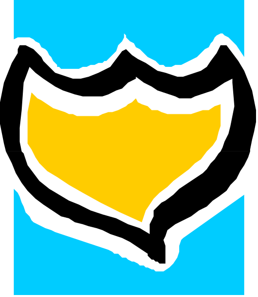 The image shows a blue shield with an orange border on it against a gray background.