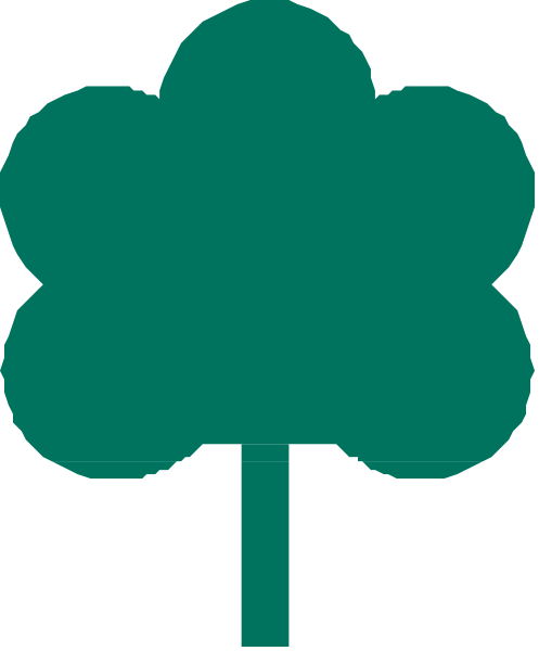 The image shows a simple line drawing of an evergreen tree with green needles on top against a white background.