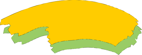 The image shows a stylized depiction of an orange slice with green highlights on it against a gray background.