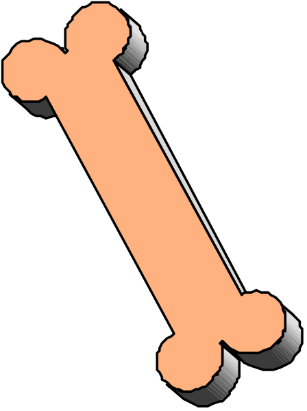 The image shows a bone with two red circles on it against a black background.