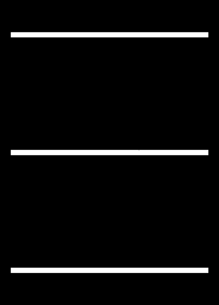 The image shows a black and white striped pattern with two vertical lines of different lengths on either side.