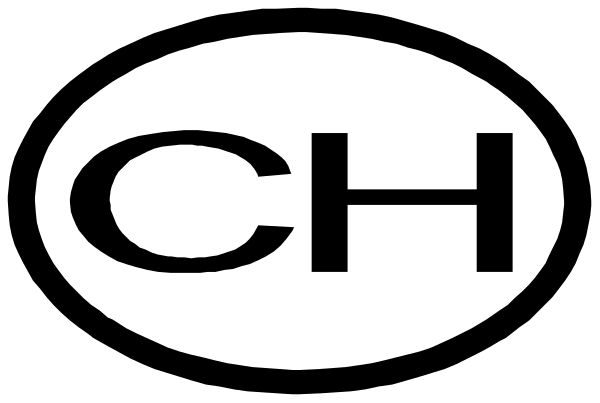 The logo of a company with an oval shape containing text inside it.