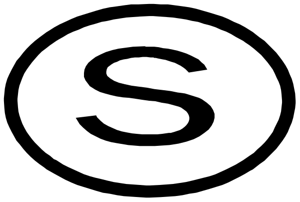 The image shows a logo with an abstract design that includes two intersecting lines forming what appears to be a letter 'S' in white on top of another line creating a shadow effect below it.