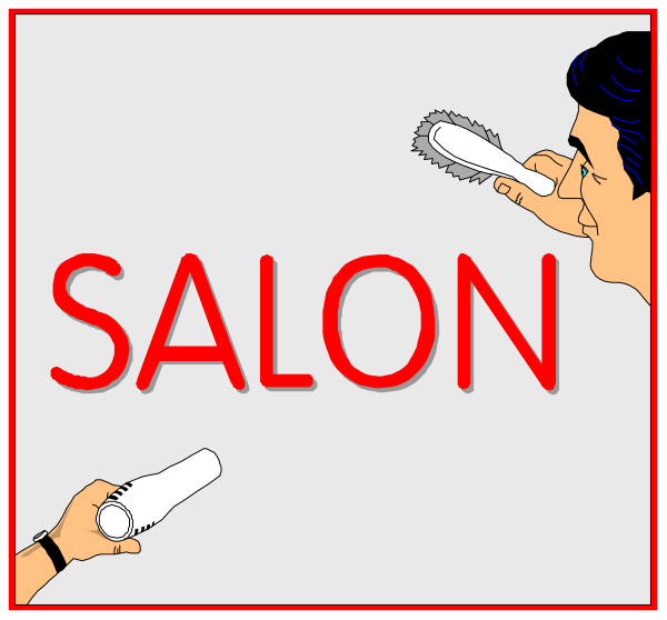The image shows a cartoon with two panels featuring an animated character holding up a magnifying glass to look at text that reads "SALON." In one panel, there is also another figure pointing towards the word 'salon' from above and below angles while standing on either side of it.