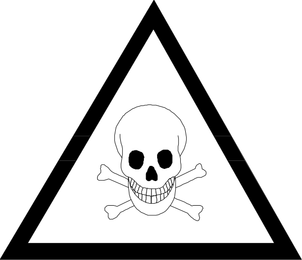 The black flag with a white skull on it symbolizes piracy.