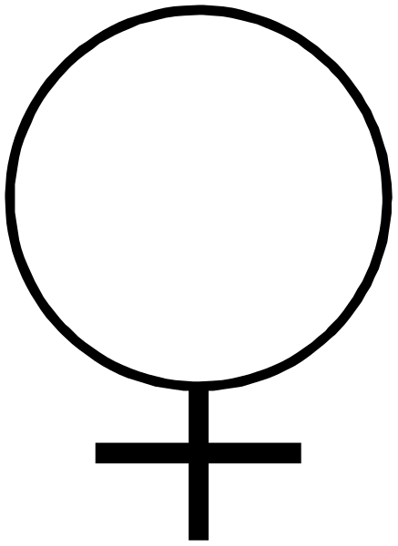 The image shows a black circle with white lines on it against a gray background.