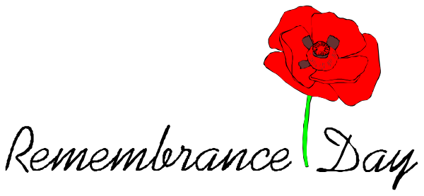 The image shows a single red flower with green stem against a grey background.