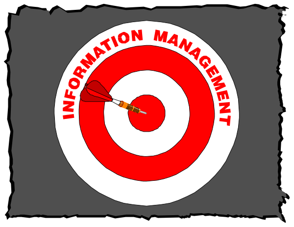 The image shows a graphic with text that reads "INFORMATION MANAGEMENT" inside an oval shape resembling a target bullseye in red on top of another circle containing black lettering, all set against a dark background; there is also what appears to be the silhouette or outline of a dart pointing towards this central graphic.