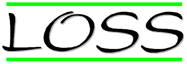 The image shows a green bar with white text that reads "LOSS."