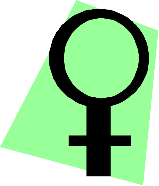 The image shows a stylized representation of an iconic feminist symbol: a woman's silhouette with long hair inside what appears to be a target-like shape resembling female genitalia, set against a green background and placed within another square frame that is also outlined in black.