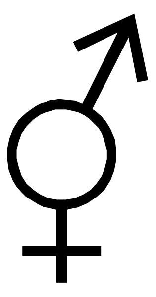 The image shows a black and white striped pattern with no distinguishable content within it.