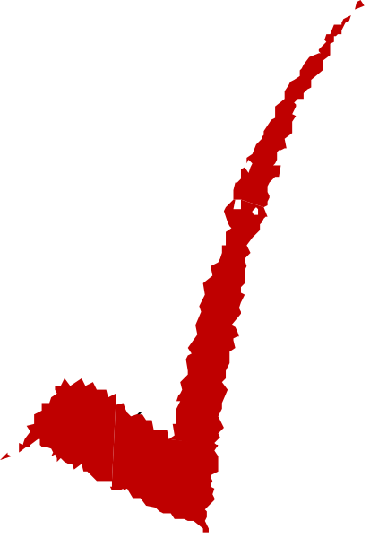The image shows a red checkmark with white borders on top of an unidentified background that is partially obscured by noise-like patterns in shades of gray and black.