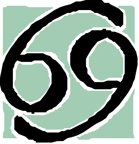 The image shows a logo with two intertwined designs resembling stylized letter "S"s forming an emblem-like symbol above them; below this is text that reads '69' in large, bold numbers and characters on either side of it appear to be abstract or decorative.