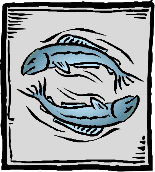 The image shows two fish swimming side by side with their tails touching each other against a plain background.