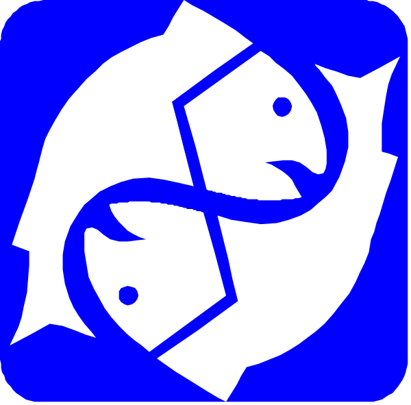 The images show two fish swimming together with a blue background; there's no text present on these clip-art icons.
