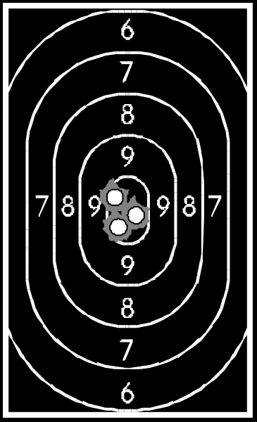The image shows a target with concentric circles marked from 1 to 9 at its center; it is overlaid on another picture that appears to be of an actual gun sighting in for nine holes, each labeled by number and distance (in feet). There's no text or additional context provided. It seems like the image might have been digitally altered as there are two different images combined into one frame: a target with numbers around it on top and what looks to be an actual gun sighting below.