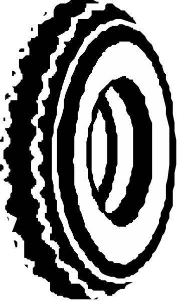 The image shows a black and white logo with an abstract design that includes concentric circles resembling sound waves emanating from what appears to be a central point of interest in the center-right portion of the graphic, which is not clearly defined within this description's scope.