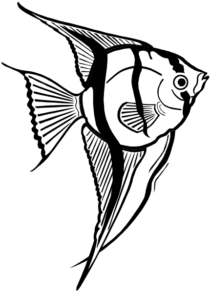 The black and white silhouette of a fish with fins on its back is shown against a striped background.